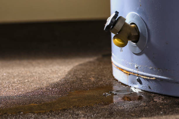 Best Water damage restoration near me  in Burleson, TX