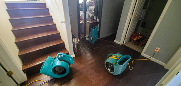 Best Ceiling water damage repair  in Burleson, TX