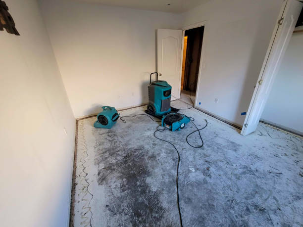 Best Basement water damage restoration  in Burleson, TX