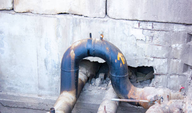 Best Flood damage cleanup  in Burleson, TX