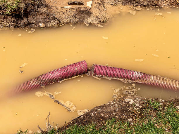 Best Water damage restoration company  in Burleson, TX